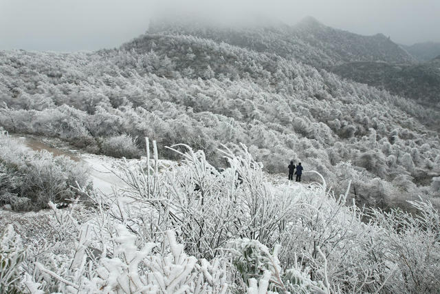 雪后 如画