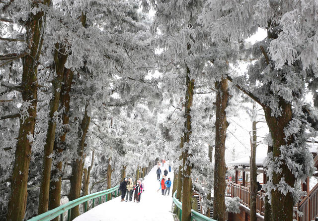 南岳 冰雪 美景 如画 游客