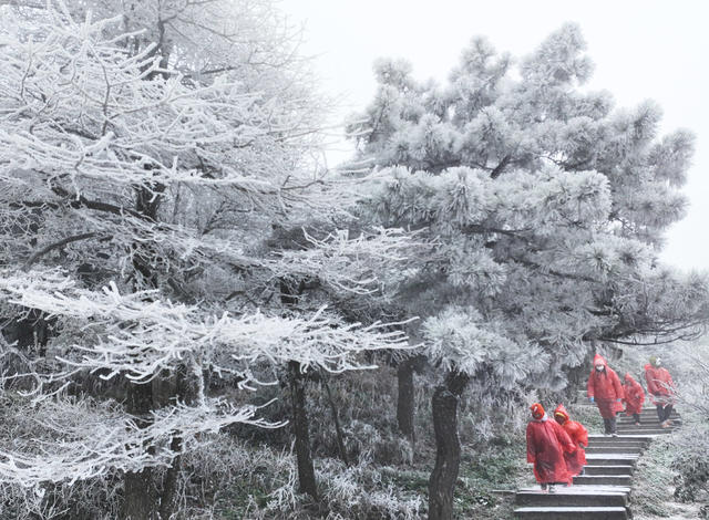 南岳 冰雪 美景 如画 游客