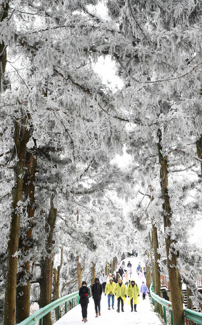 南岳 冰雪 美景 如画 游客