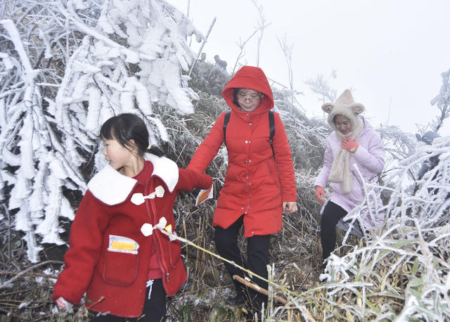 嘉禾：冬日美景醉游人