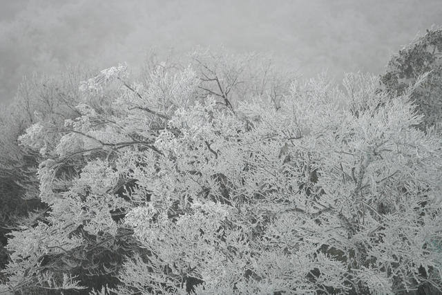 雾凇  冰雪 道县 美景 
