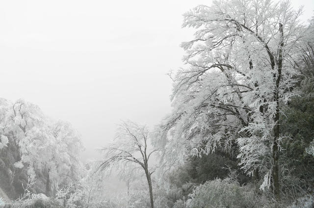 雾凇  冰雪 道县 美景 