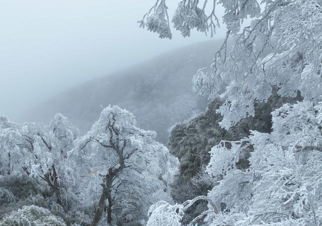 雾凇  冰雪 道县 美景 