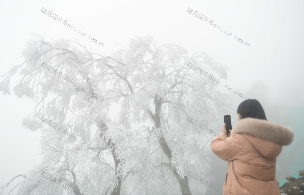 雾凇  冰雪 道县 美景 