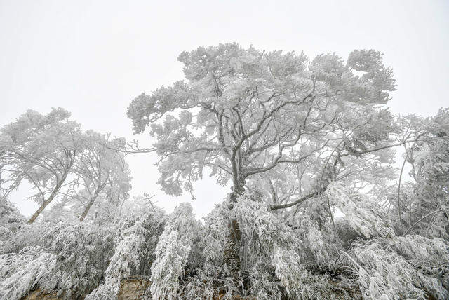 雾凇  冰雪 道县 美景 