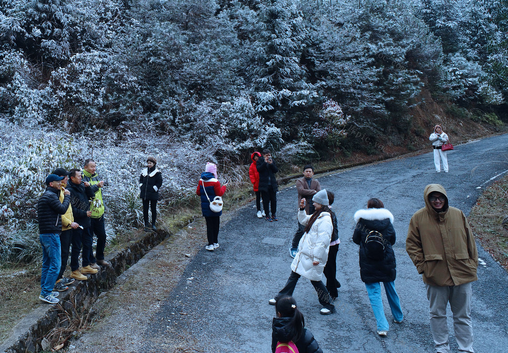 湖南桂东 交警 公路 群众 赏雪景 拍照 旅游区
