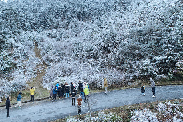湖南桂东 交警 公路 群众 赏雪景 拍照 旅游区

