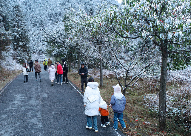 湖南桂东 交警 公路 群众 赏雪景 拍照 旅游区

