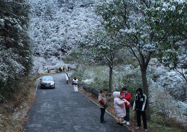 湖南桂东 交警 公路 群众 赏雪景 拍照 旅游区
