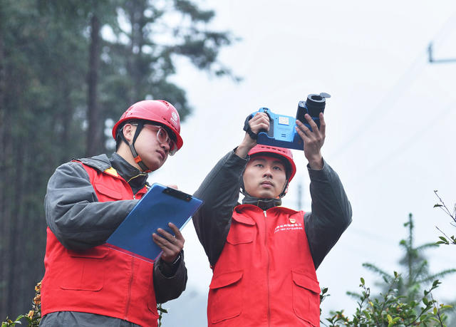 嘉禾： 线路巡查保供电