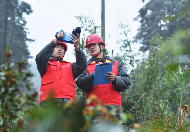 嘉禾： 线路巡查保供电
