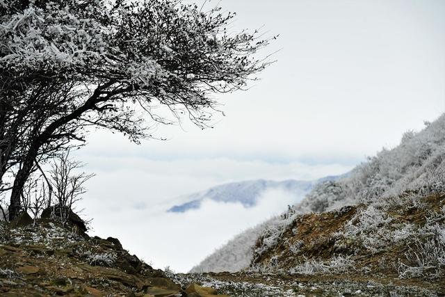 云海 雾凇  狮子口 宜章县  瑶岗仙镇 狮子口自然保护区