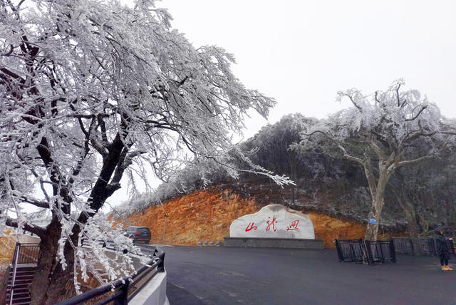 寒潮 强降温 雾凇景观 云海 游客 旅游