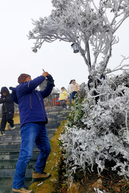 寒潮 强降温 雾凇景观 云海 游客 旅游