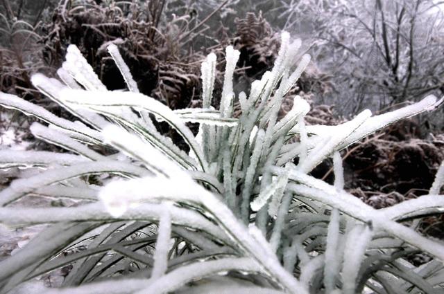 雪花 深冲 美不胜收