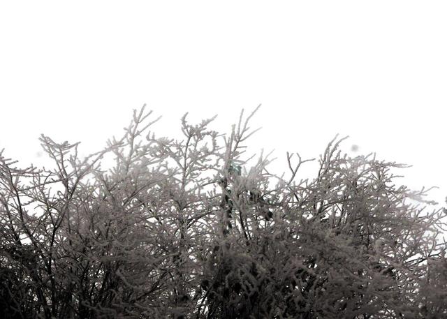 雪花 深冲 美不胜收