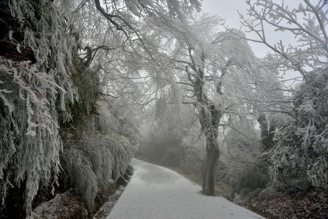 雾凇  人气火爆