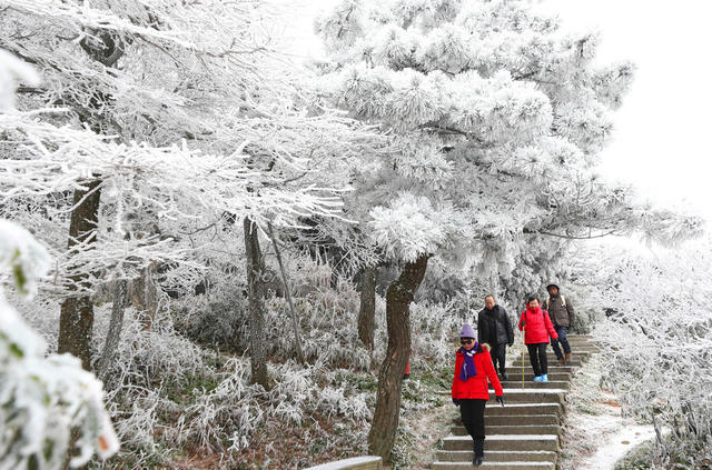 南岳 美景 冰雪 雾凇 