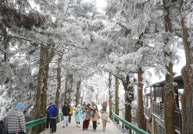 南岳 美景 冰雪 雾凇 
