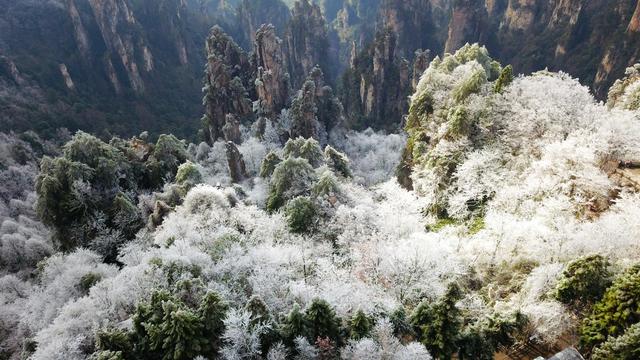 张家界 雾凇 云海 日出 