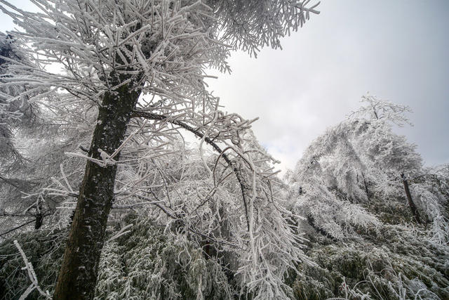 湖南，湘西，龙山，雾凇，低温，大雾，天气，高海拔，景观