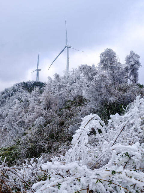湖南，湘西，龙山，雾凇，低温，大雾，天气，高海拔，景观