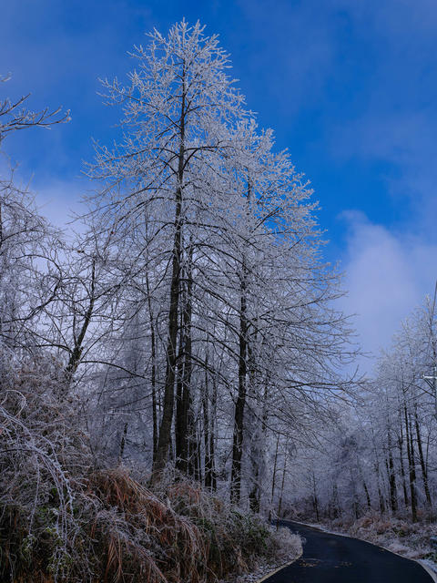 湖南，湘西，龙山，雾凇，低温，大雾，天气，高海拔，景观