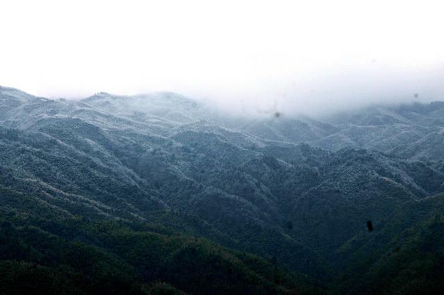 冰雪 深冲 打卡