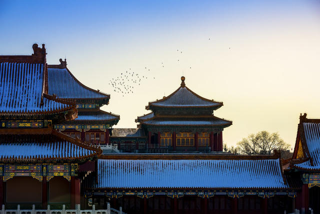 故宫 雪 天晴 蓝天 古建筑 