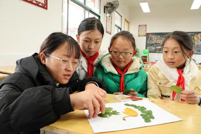 落叶贴画   亲近自然