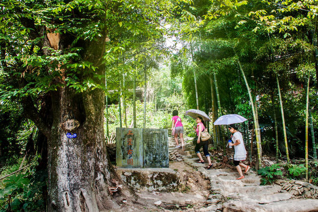 山林 高山 雾淞 牛 蓝天 彩霞 