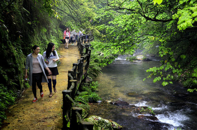 山林 高山 雾淞 牛 蓝天 彩霞 