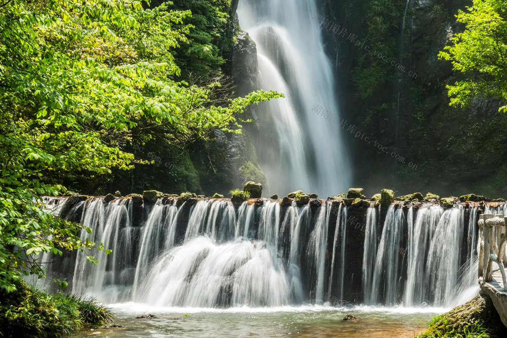 溪水 流水 山水 公园 森林 石头