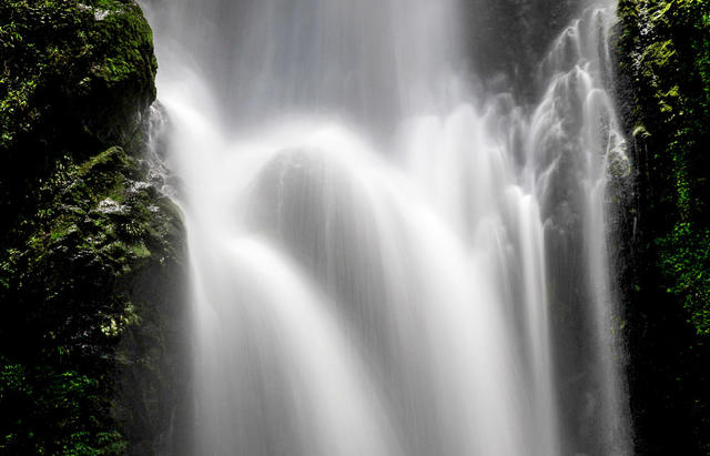溪水 流水 山水 公园 森林 石头