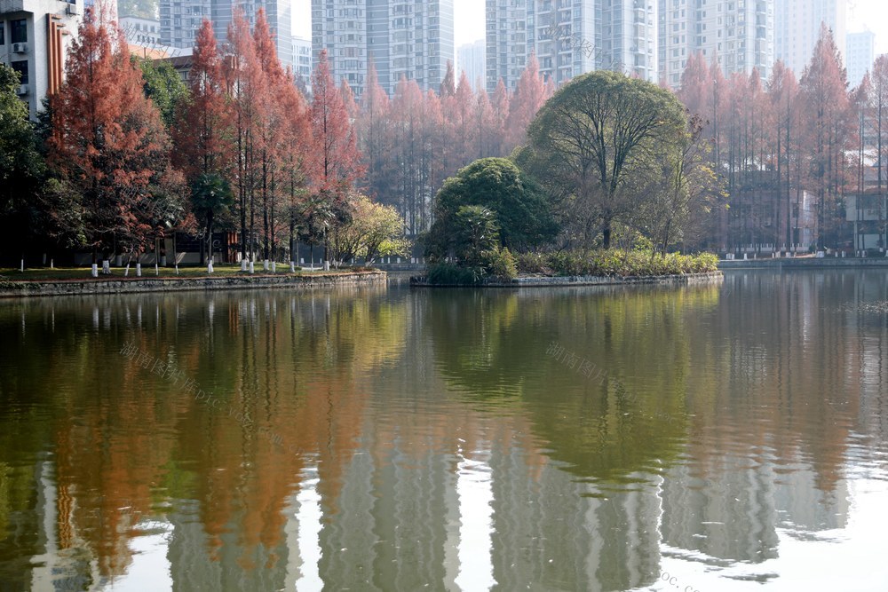 湘西 校园 美景 冬日 画卷 美丽 拍摄 大学 吉首