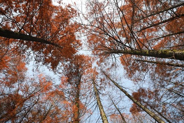 湘西 校园 美景 冬日 画卷 美丽 拍摄 大学 吉首