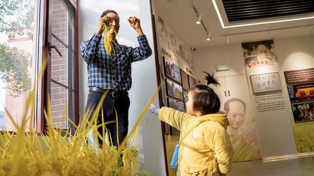 袁隆平科学家精神 德育育心