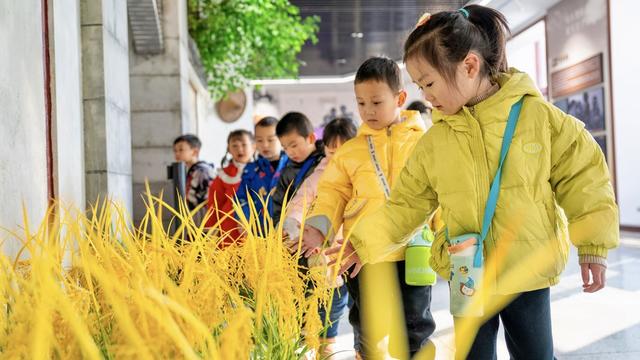 袁隆平科学家精神 德育育心