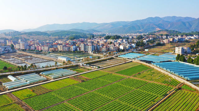 路畅  业兴  景美  田园  乡村