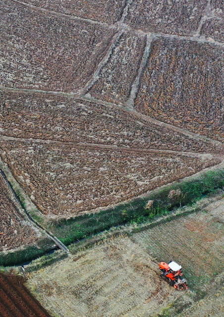 嘉禾：冬至时节农耕忙