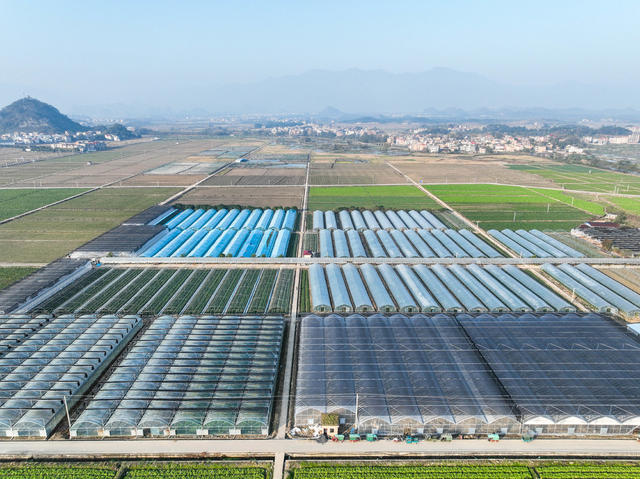 设施农业  蔬菜  道县  产业 田园