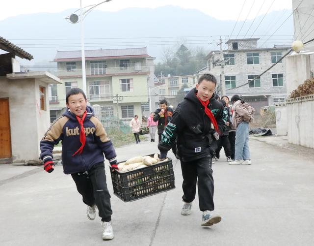  校园农场喜迎丰收