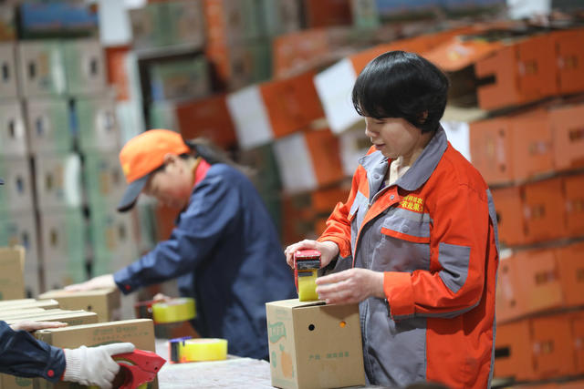 脐橙 销售 标准化
