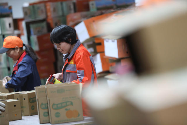 脐橙 销售 标准化