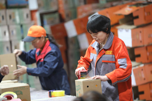 脐橙 销售 标准化