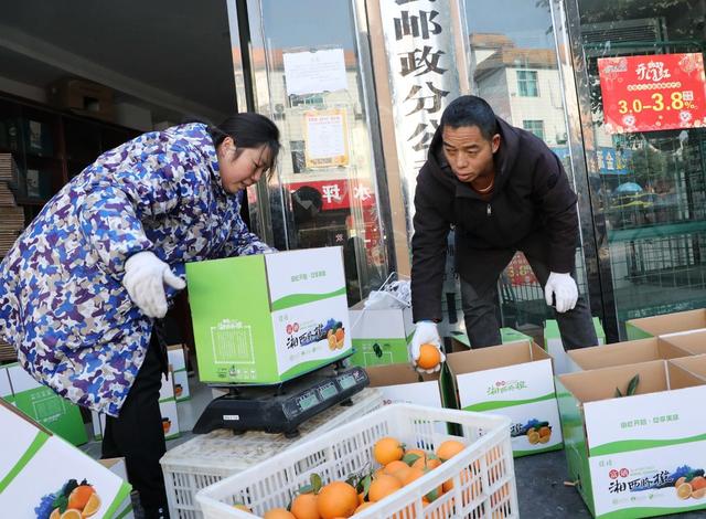 “电商快车”助农增收    