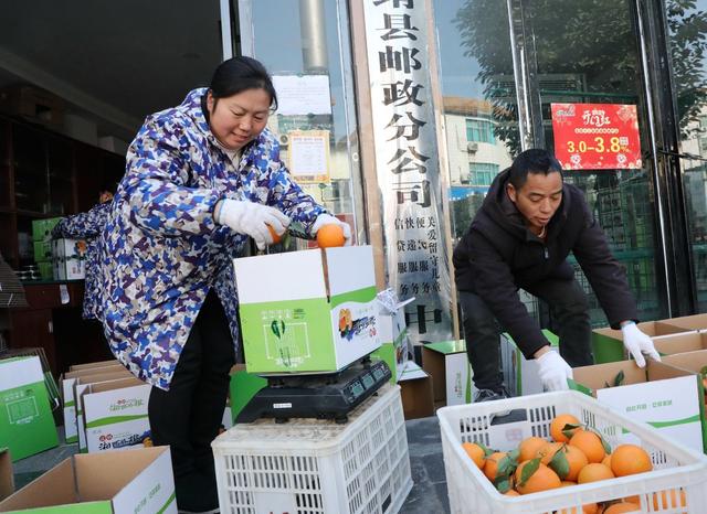 “电商快车”助农增收    