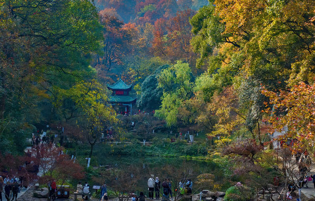 爱晚亭，岳麓书院 ，