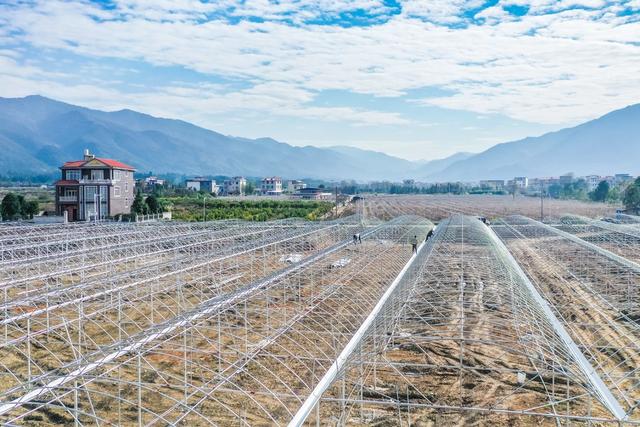 育秧大棚 建设 农业 冬闲时节 备耕